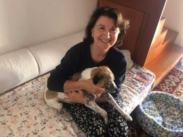 Cani e gatti anziché figli? Polemiche su Roccella, ma la questione è aperta