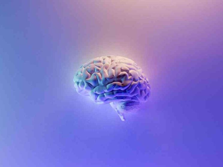 E il filosofo vinse sullo scienziato la scommessa sulla coscienza