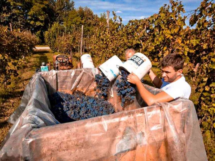 Salario minimo: chi lo propone, chi lo avversa e perché