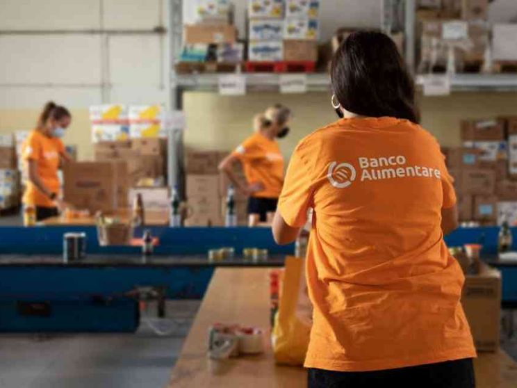 Meno cibo raccolto, meno poveri aiutati: la guerra sfida il Banco Alimentare