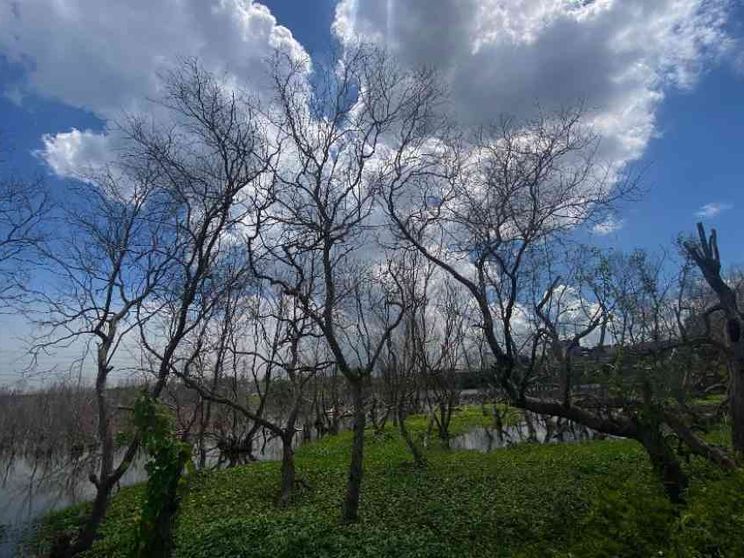 L'Onu: registrati i 3 giorni consecutivi più caldi di sempre