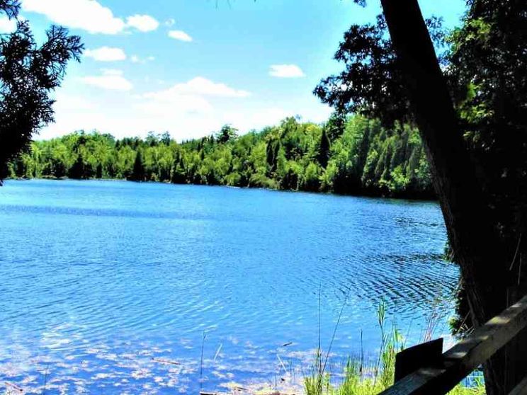 È il lago Crowford il sito di riferimento dell'Antropocene