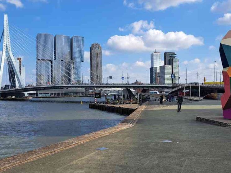 Rotterdam liquida, hi-tech e sostenibile
