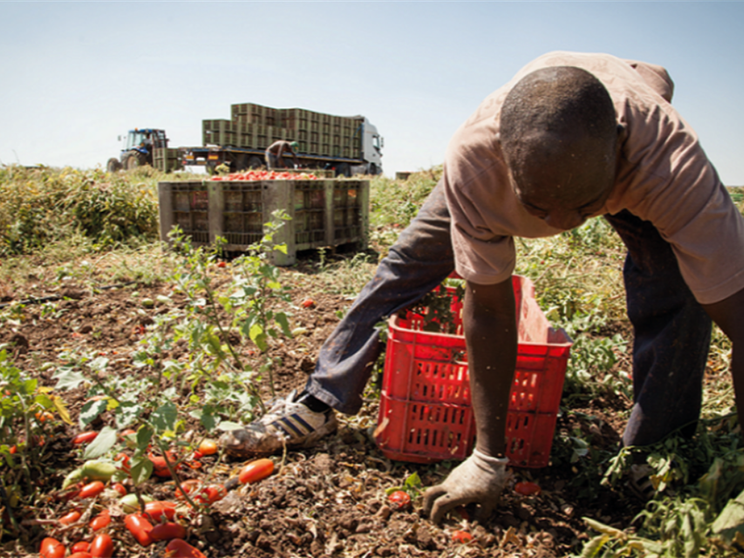 Tra nuovi ingressi e rispetto delle tutele