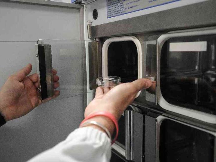 Procreazione assistita, l'uomo non può rifiutarsi di diventare padre