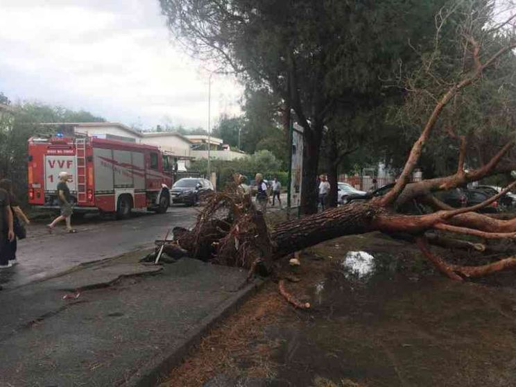 Maltempo, morta una donna travolta da un albero