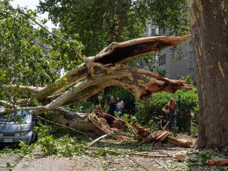 Tempesta su Milano. Alberi sradicati, auto distrutte, traffico in tilt