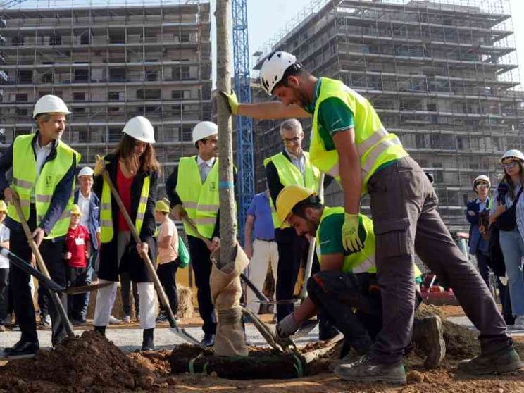 Sala: "Ripianteremo 5mila alberi"