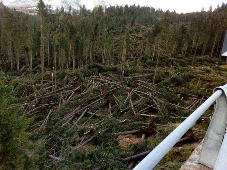 Appello di Mattarella e altri 5 Paesi per il clima: non c'è tempo da perdere