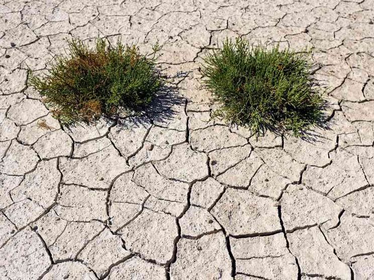 Luglio 2023 è il mese più caldo, superato il limite fissato da Parigi