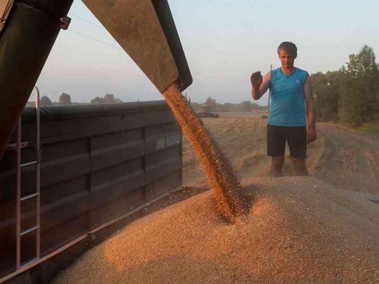 Mykolaiv, la città del grano è in ginocchio