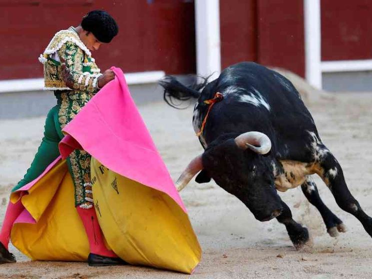 L'Unesco boccia le corride: «Non sono patrimonio dell'umanità»