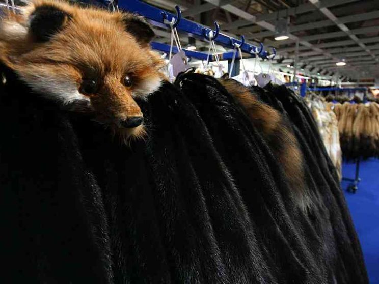 Il gruppo Aeffe annuncia lo stop all'uso delle pellicce