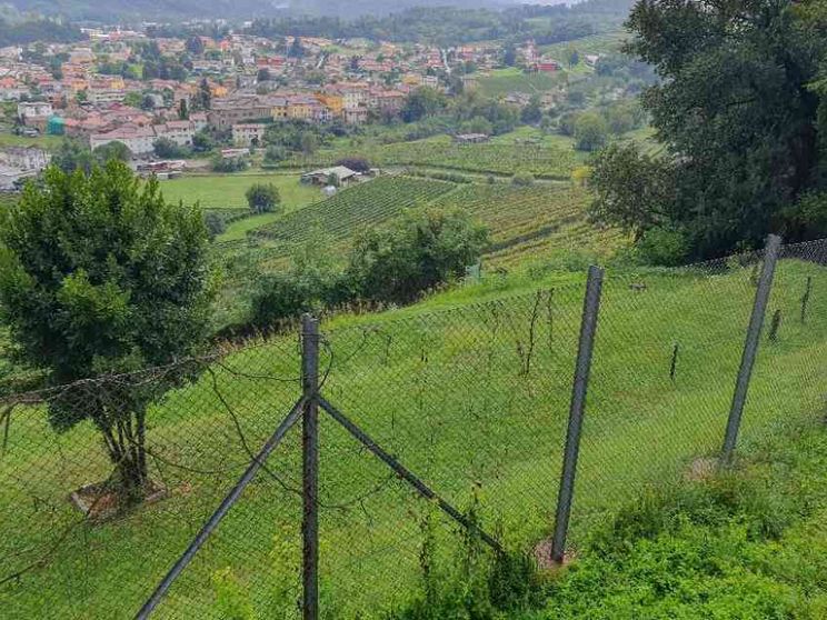 Gli eroi di Clivio che aiutarono ebrei e perseguitati a sfuggire ai nazifascisti