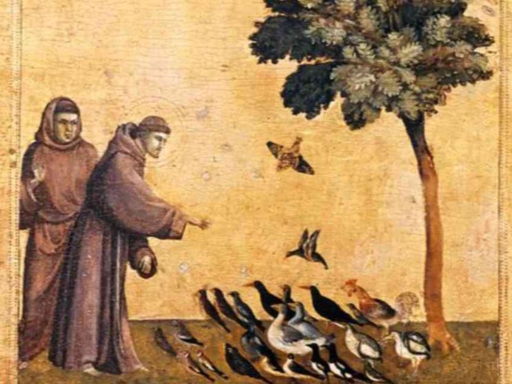 Noi e il creato: sfruttamento o custodia?