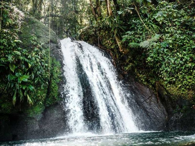 Via i debiti per un po' di natura: lo scambio che aiuta i Paesi fragili