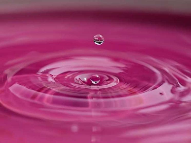 Pink power o pink washing?