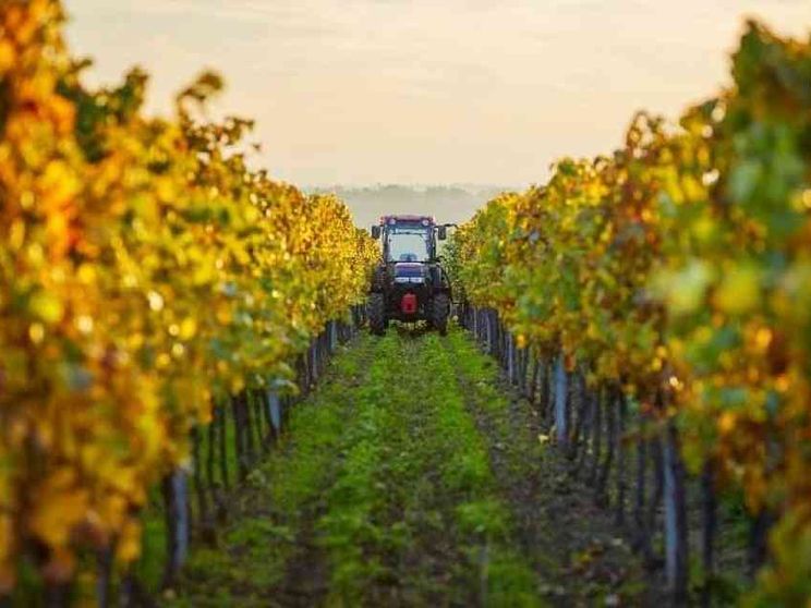 Lavori strani e dove trovarli