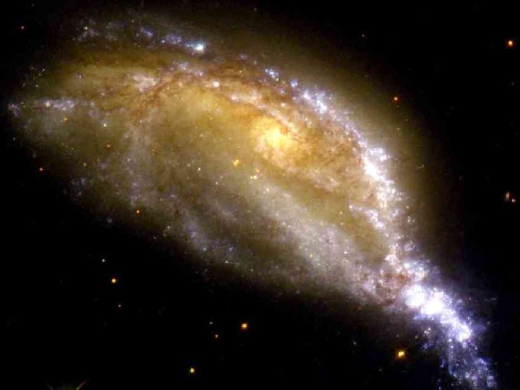 L'evoluzione? «Legge che vale in tutto l'universo»