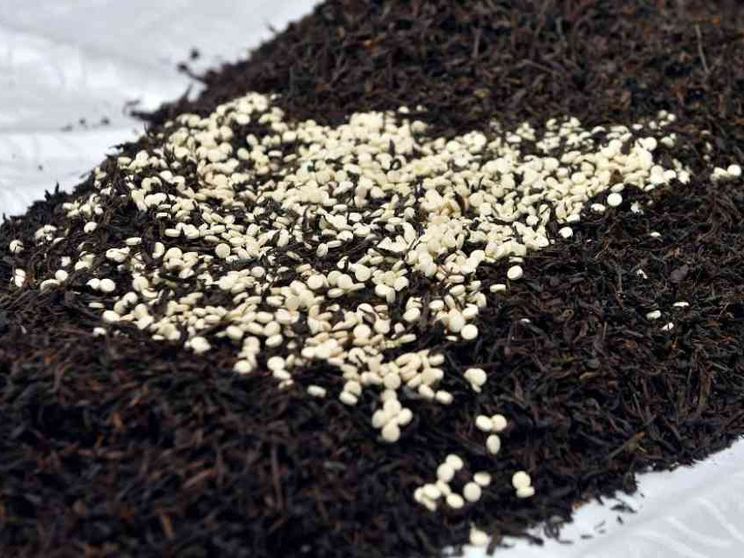 Cos'è e da dove arriva il Captagon, la droga usata dal miliziani di Hamas