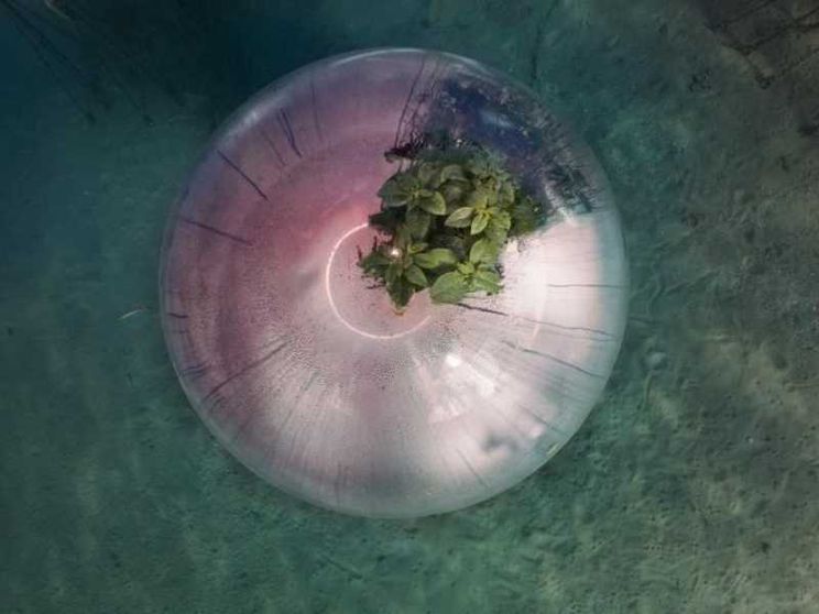 Tutti dentro al grande cerchio: viaggio nel futuro possibile