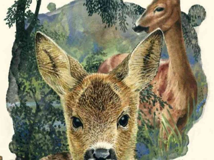 Cento anni di "Bambi", che incantò Disney ma non era un libro per bambini