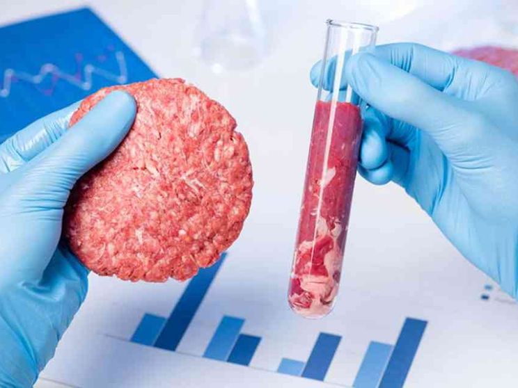 La startup trentina Bruno Cell: «Ci corteggiano dall’estero»