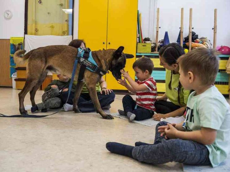 La pet therapy per gli hikikomori. Così cani e gatti aiutano le famiglie