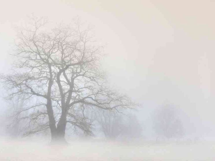 A Piacenza il festival della nebbia. Che può insegnare tante cose