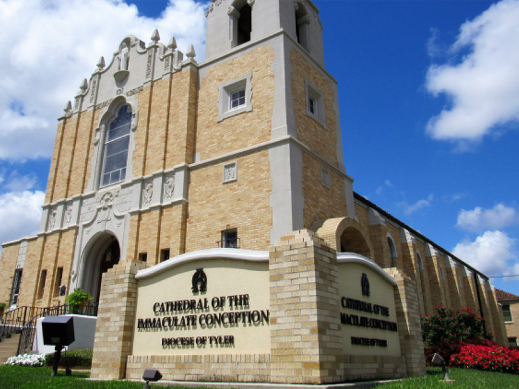 Sollevato dal governo della diocesi il vescovo di Tyler negli Usa