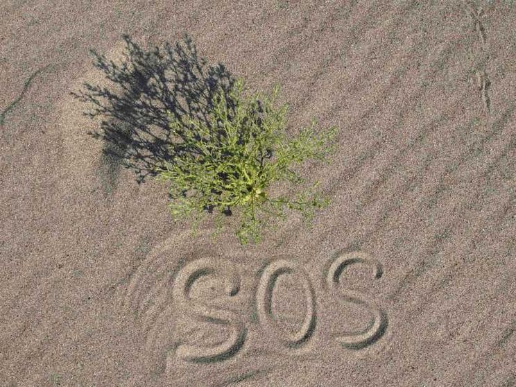 Sviluppo, clima e integrazione le priorità per gli italiani