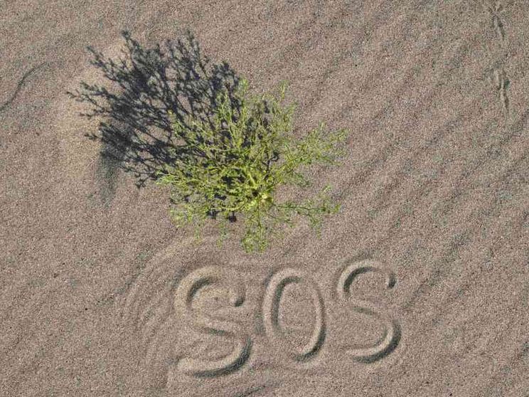 Sviluppo, clima e integrazione le priorità per gli italiani