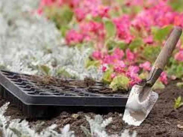 Mettete dei fiori nei vostri cannoni