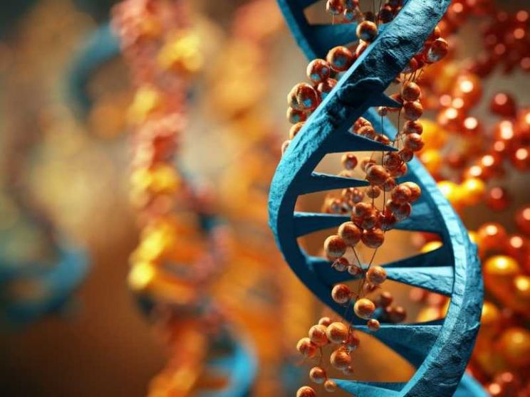 Arriva la prima terapia con le “forbici molecolari”