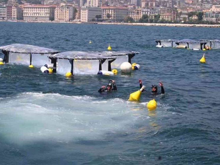 Trovare lavoro a contatto con la natura