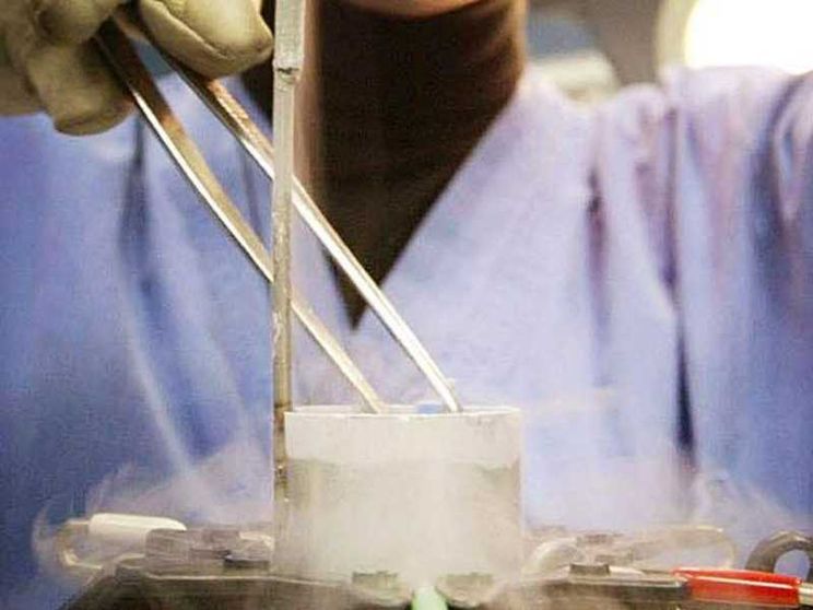 61mila embrioni congelati in un anno. E ora paga lo Stato