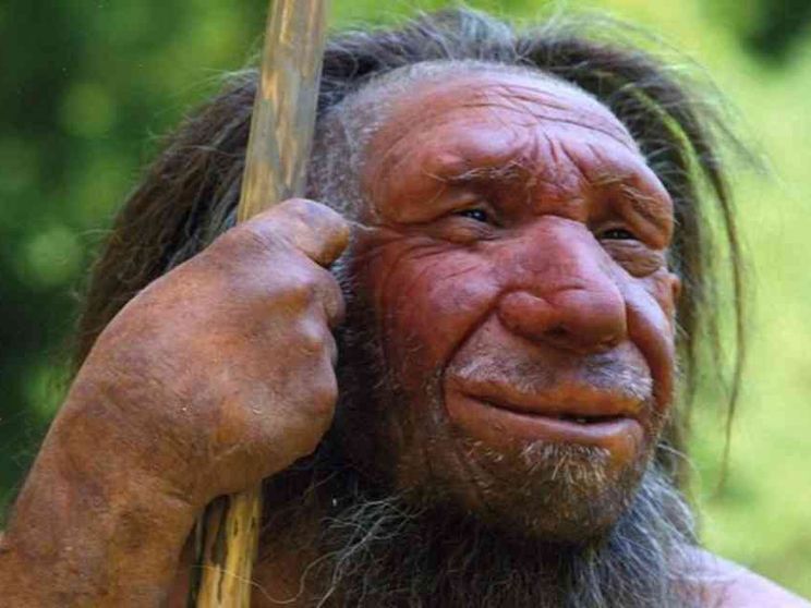 Se siamo mattinieri è perché siamo un po' Neanderthal
