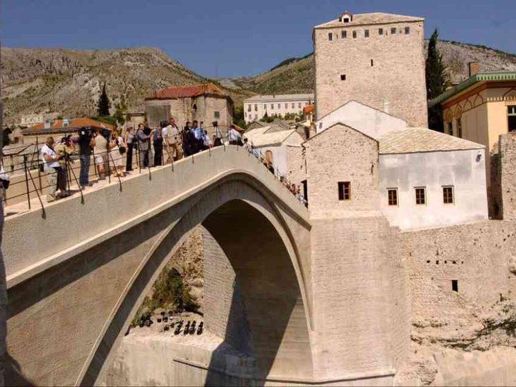 L'essenza della scuola? Un ciliegio in fiore che ci attende