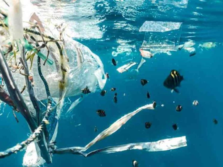 Per salvare gli oceani il 2024 sarà l'anno decisivo