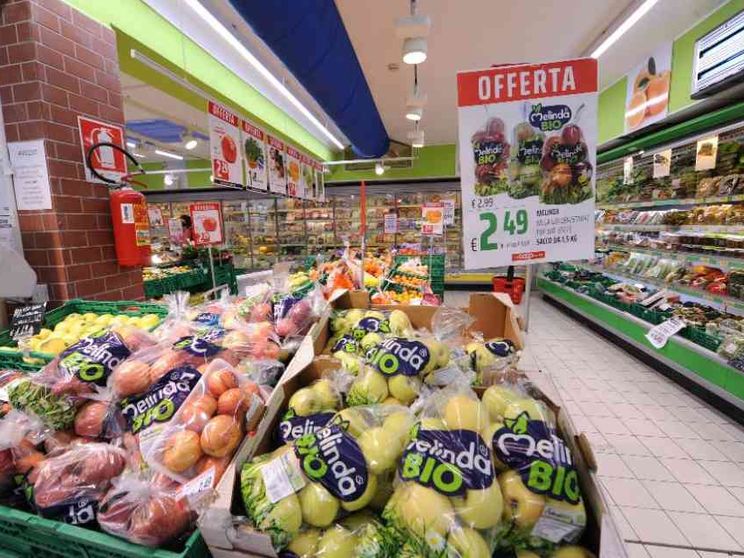 Discount e marchi dei supermercati sono gli unici a far volare i consumi