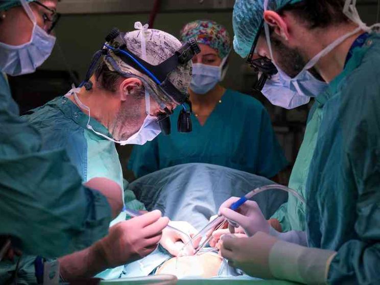 Bambin Gesù, aumentati del 50% i trapianti