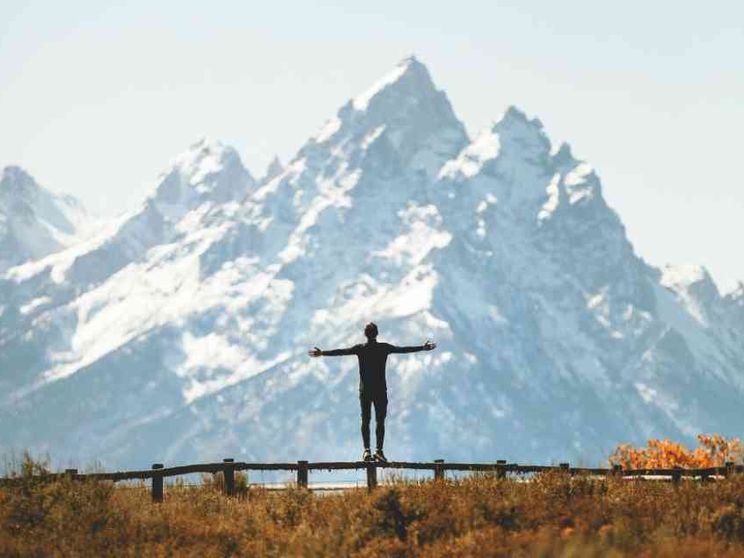 Dopo l'antropocentrismo: equilibrio cercasi tra uomo e altri viventi