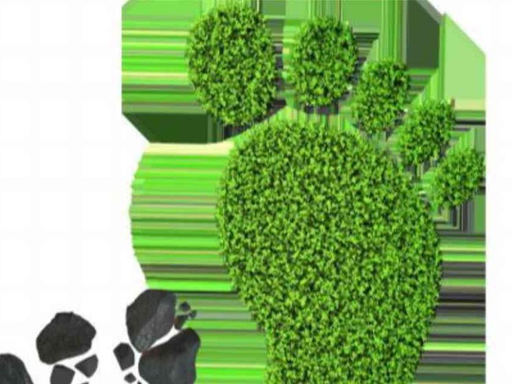 La nostra impronta sul pianeta: possiamo consumare meno Terra?