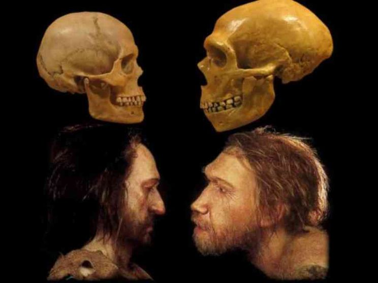 Sapiens e Neanderthal vicini di casa nell'era glaciale
