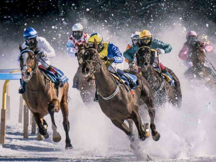 Darsi all’ippica per creare mondi: il caso Gerald Murnane