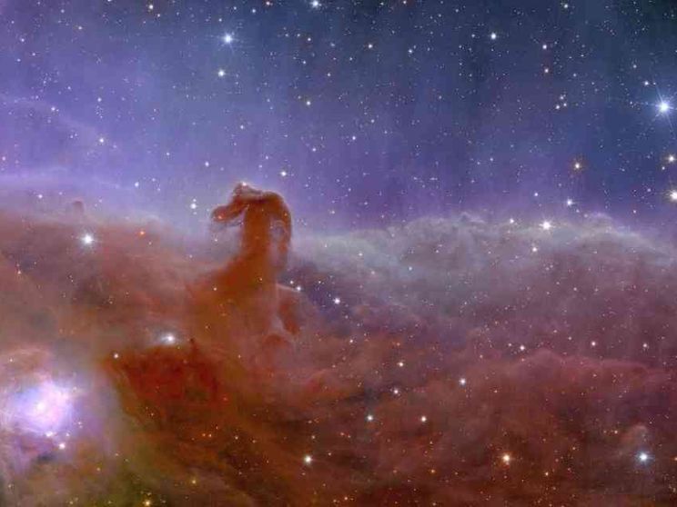 Nell'occhio di Euclid la culla delle stelle. E del nostro immaginario