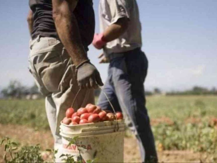 Caporalato, la vittoria di Balbir: «Giustizia per tutti gli sfruttati»
