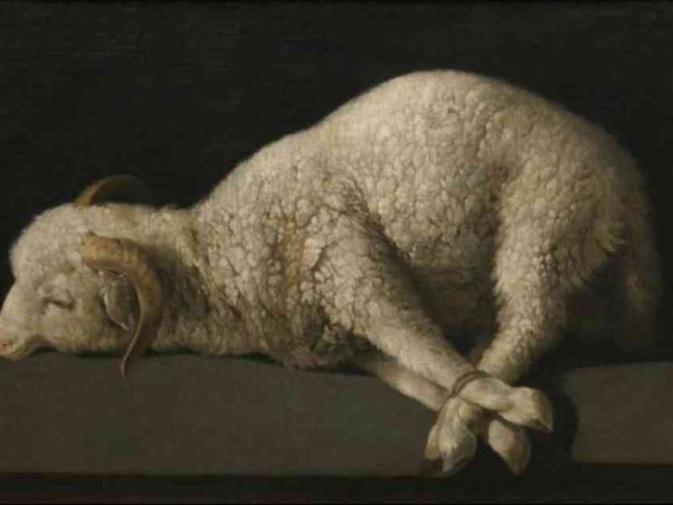 Con l’Incarnazione Dio salverà la creazione