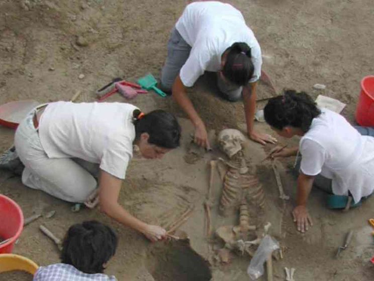 Resti di uomini e animali nella necropoli preromana di Verona