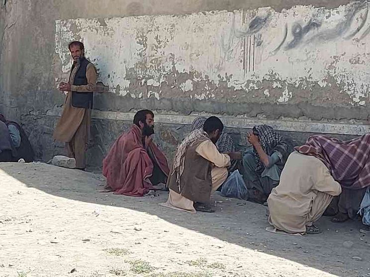 Perché il boom Fentanyl è un danno collaterale del pugno di ferro dei taleban